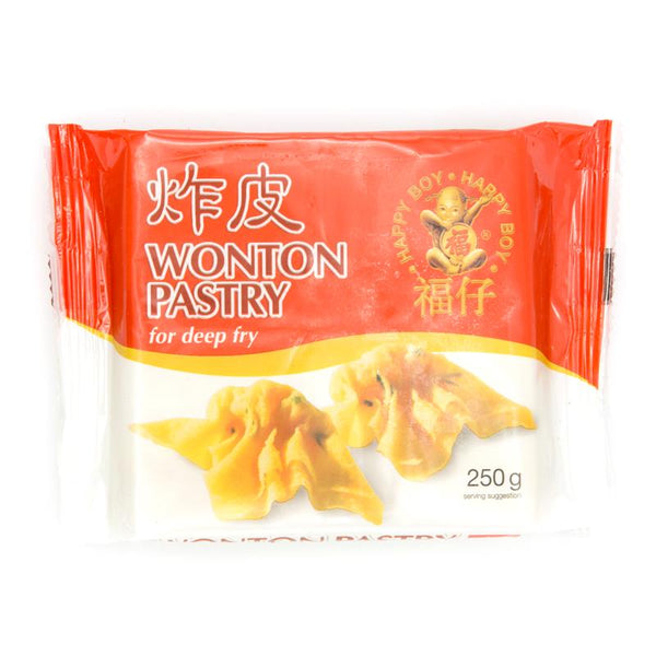 WONTON FRITUUR H.BOY 250 G 48 ST.